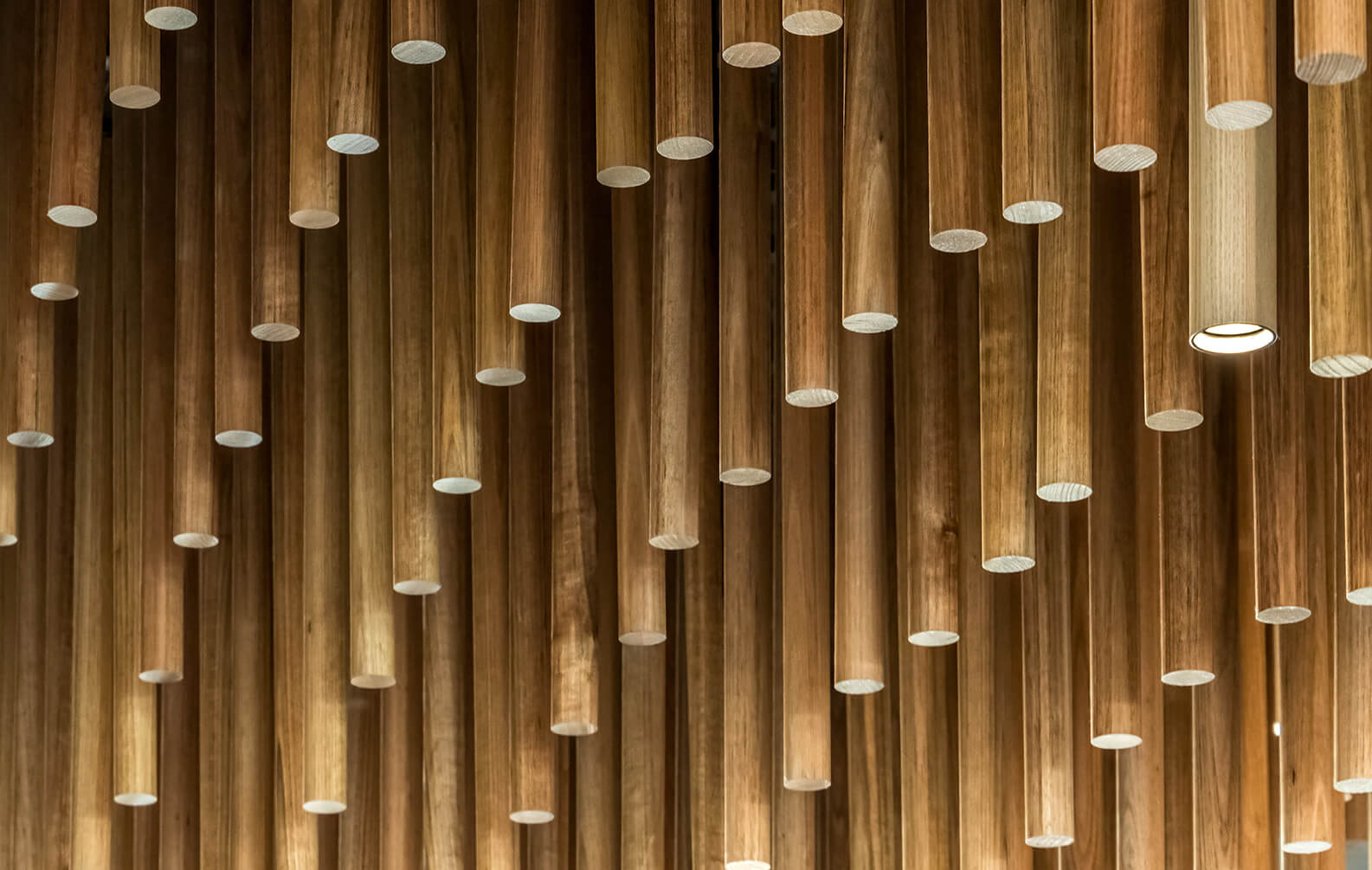 Albuquerque_Landscape-05