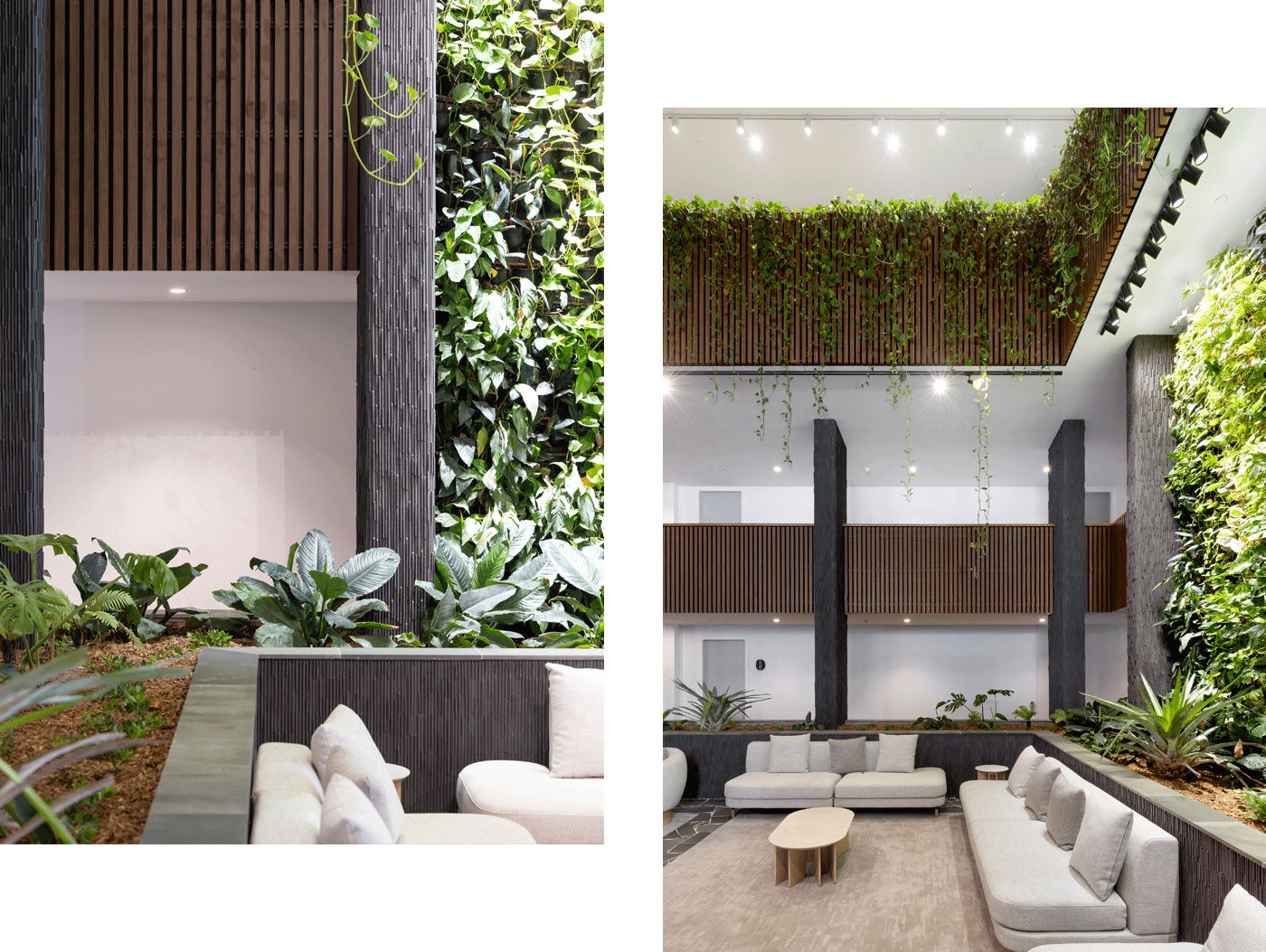 Belvedere-Wood Finish