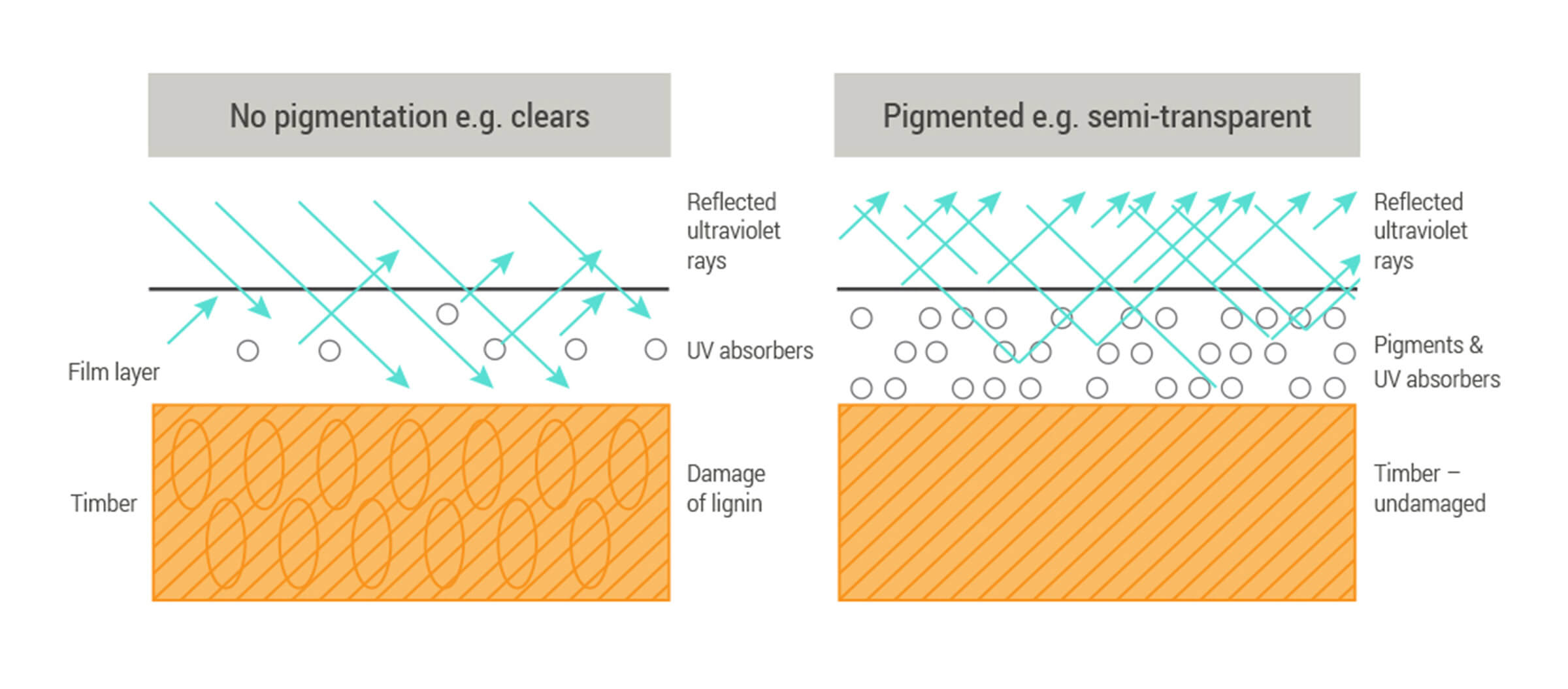Editorial-Lowmaintenance-pigmentinfographict