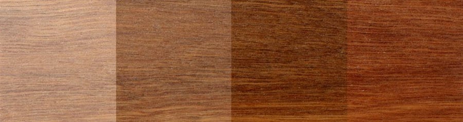 Sculptform Spotted Gum Species colour variation