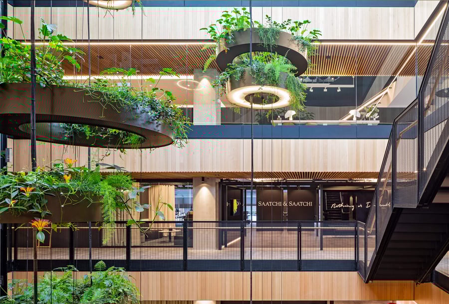 biophilic office with timber ceilings
