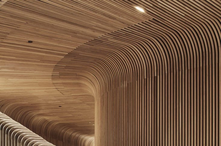 curved-timber-options-masthead-2-1024x679