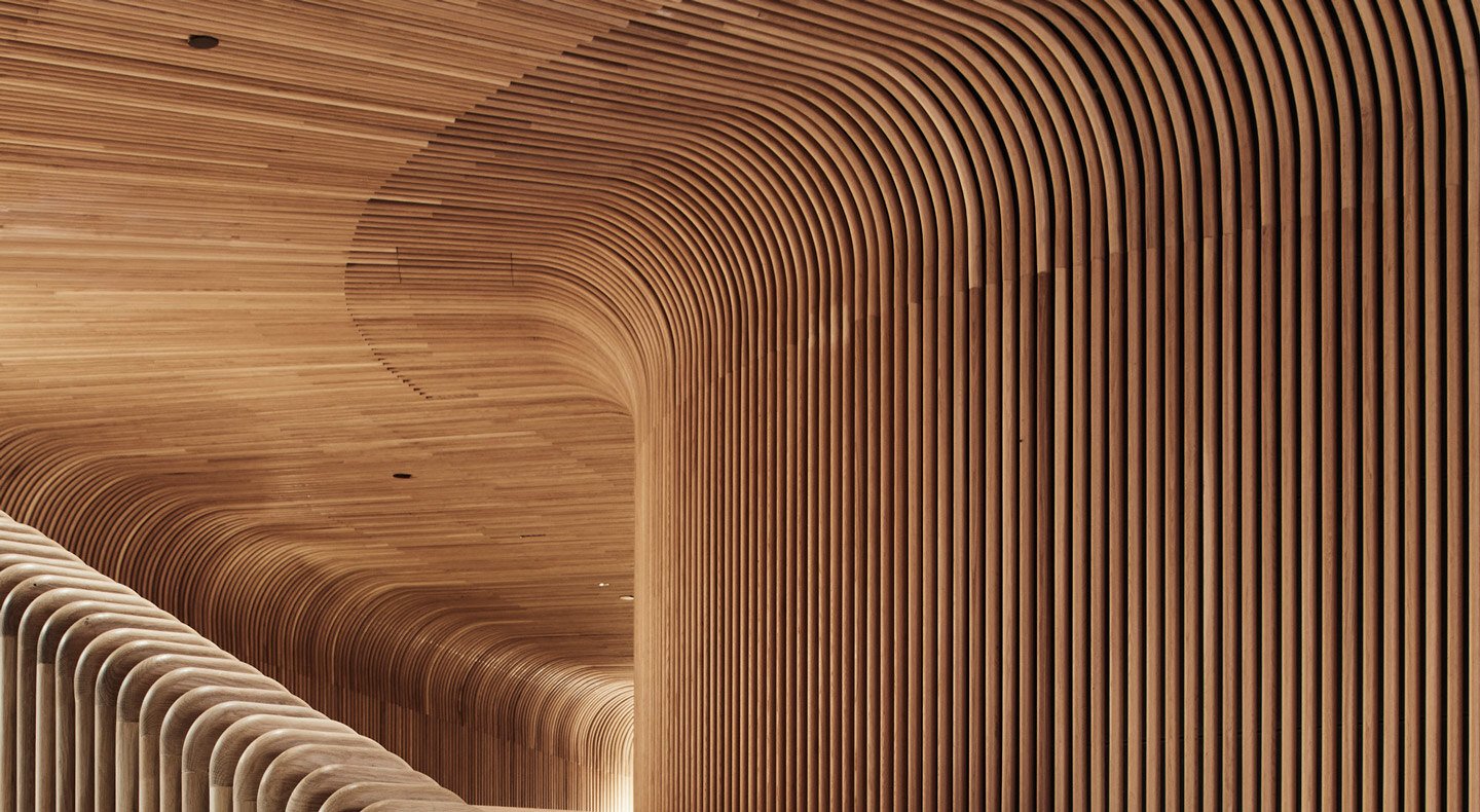 curved-timber-steam-bending
