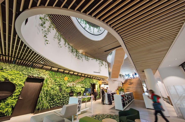 biophilic timber ceiling