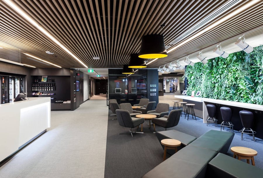 biophilic timber ceiling in workplace