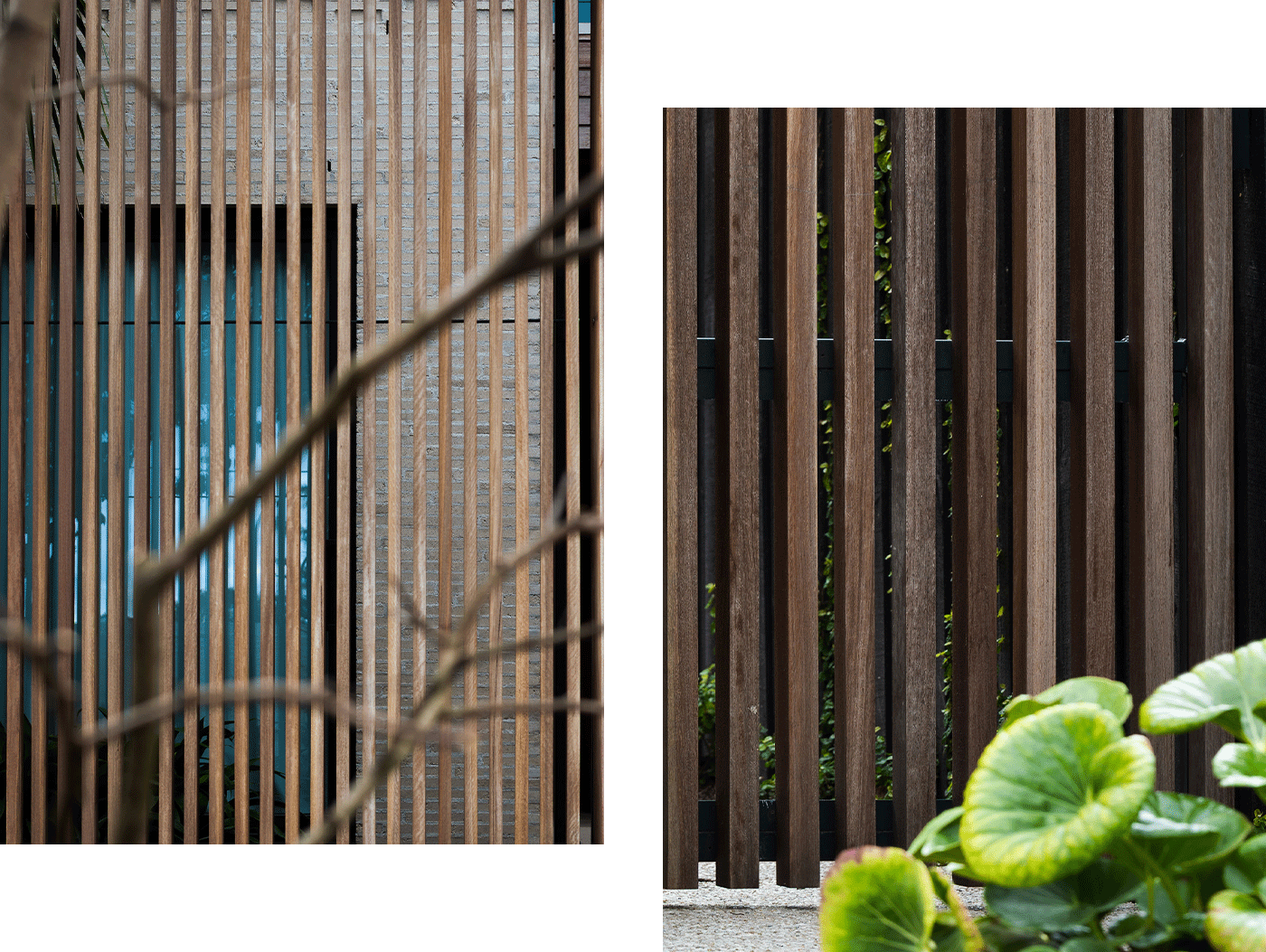 Kooyong_Two-Column1