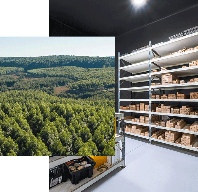 Sustainability-UK_Square-Header