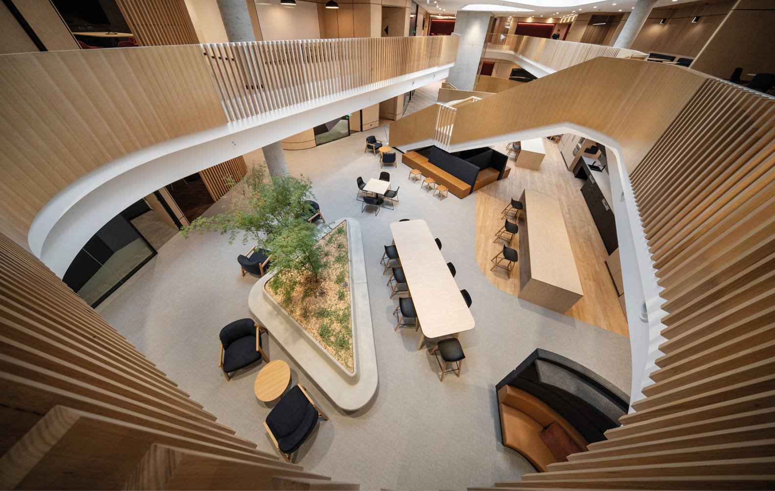 defence-housing-australia-gungahlin-office_03