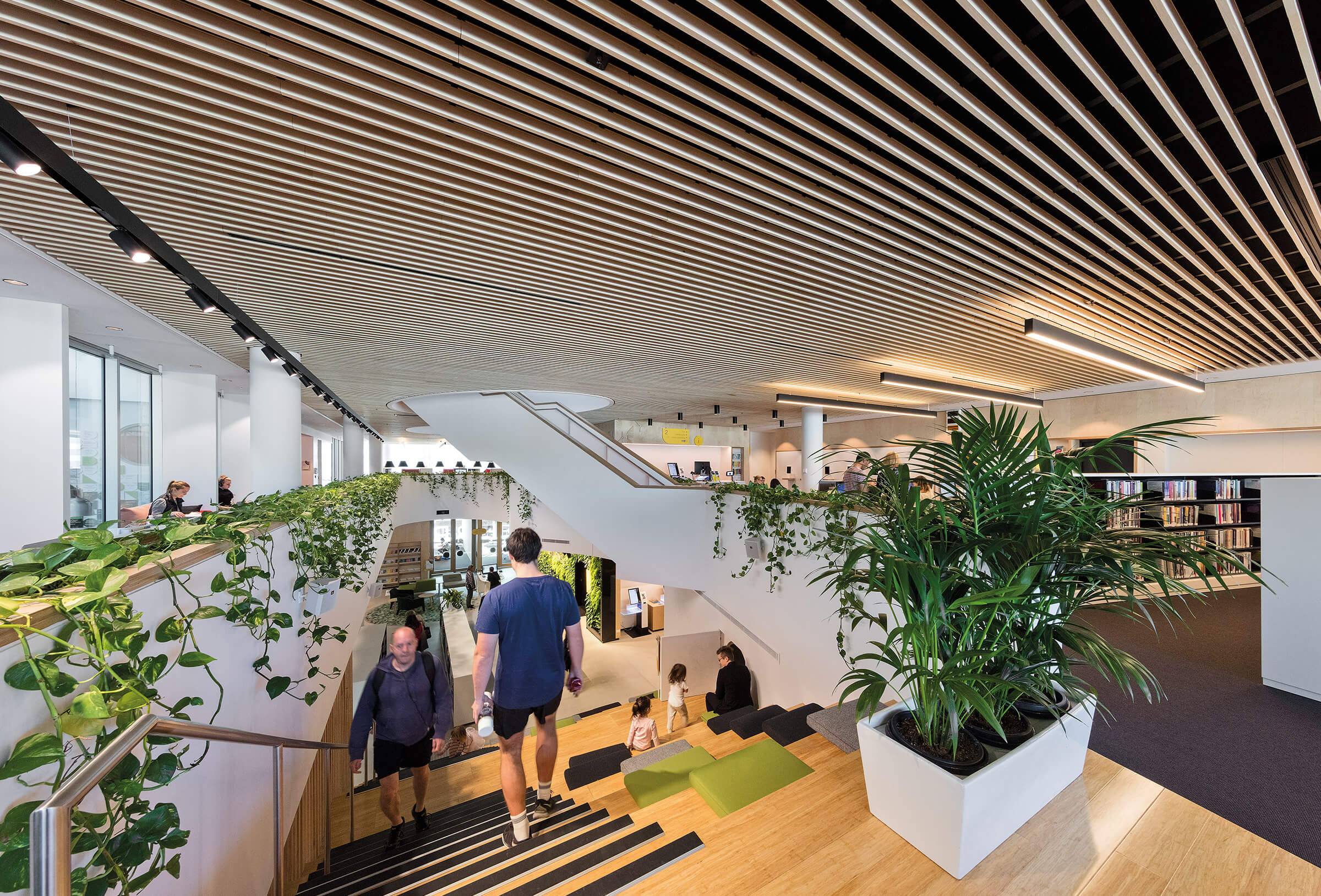 workplace timber ceiling