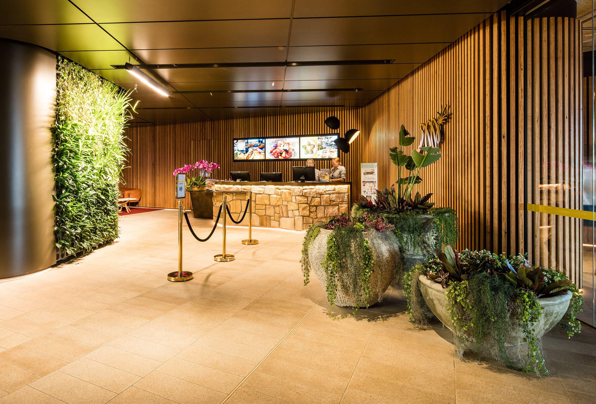 biophilic timber wall