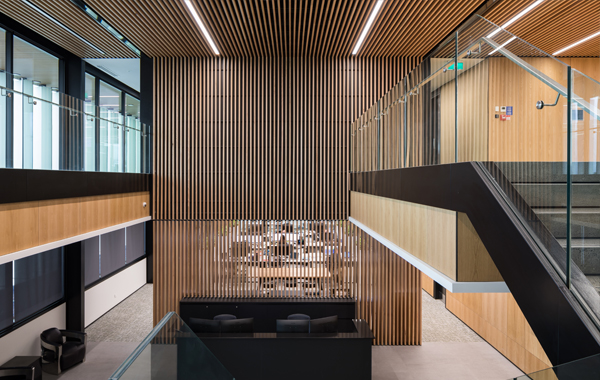 Timber Battens and Screens Enhance APL Office Design | Project | Sculptform