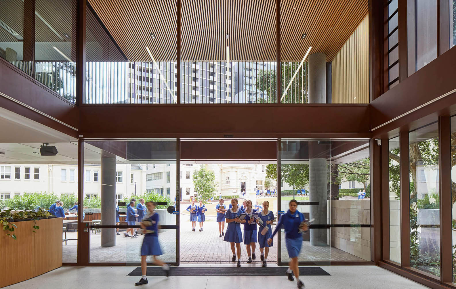 Timber Excellence in the Scientia Terrace | Project | Sculptform