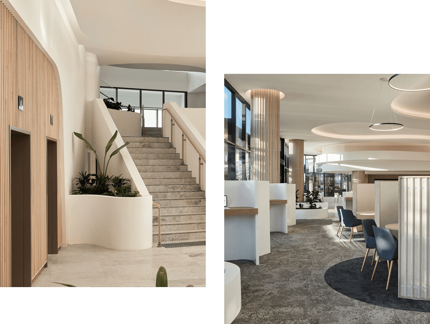 Sunshine Coast City Hall | Project | Sculptform